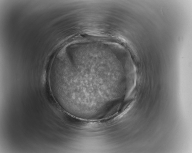 X0000088731161200706212034