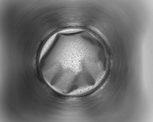 X0000088731162200706212034