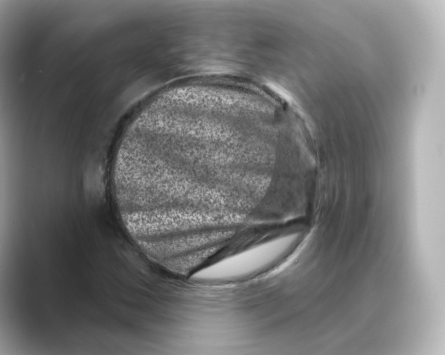 X0000088731163200706212034