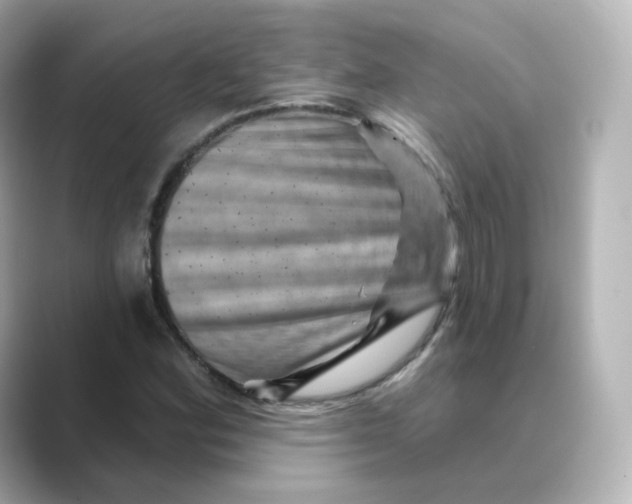 X0000088731164200706212034