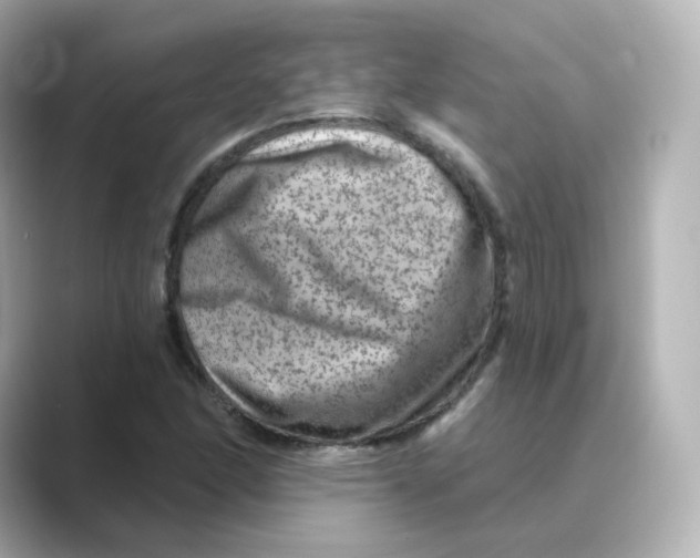 X0000088731166200706212034