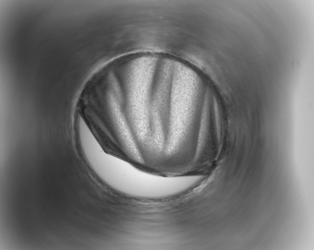 X0000088731168200706212034