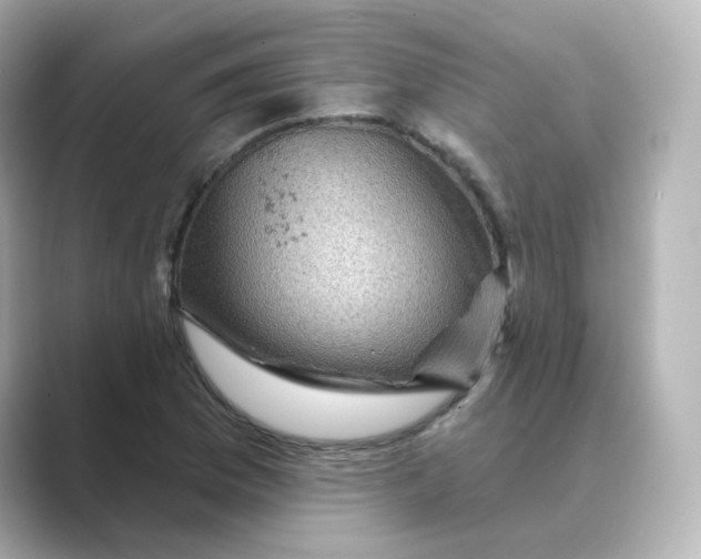 X0000088731169200706212034