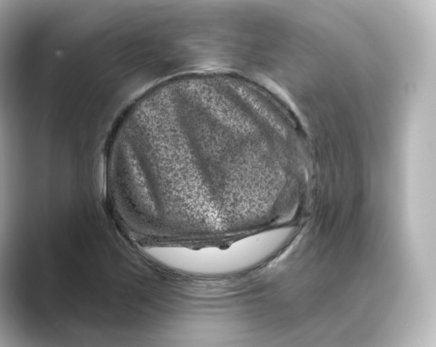 X0000088731171200706212033