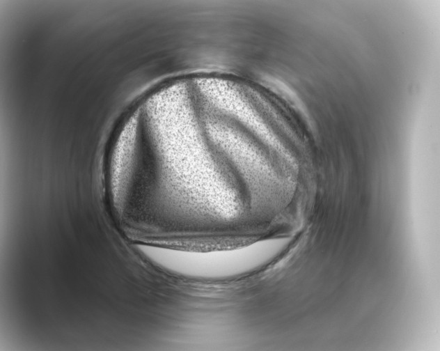 X0000088731172200706212033