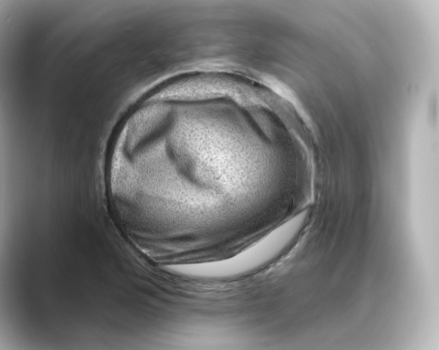 X0000088731176200706212033