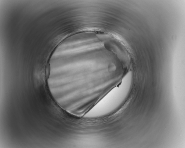 X0000088731177200706212033