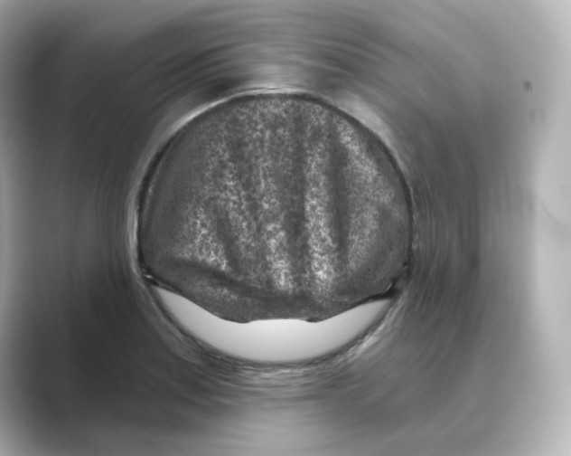 X0000088731179200706212033