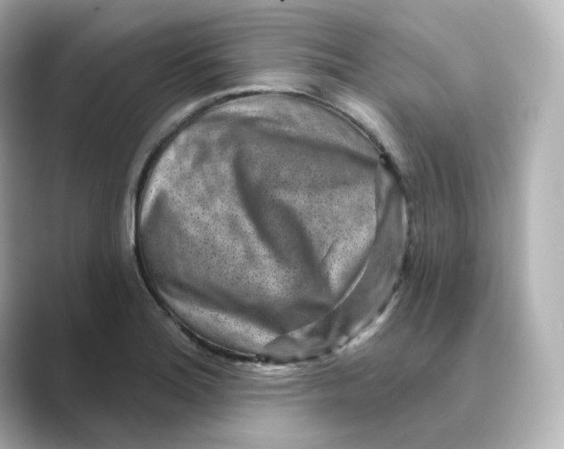 X0000088731180200706212033