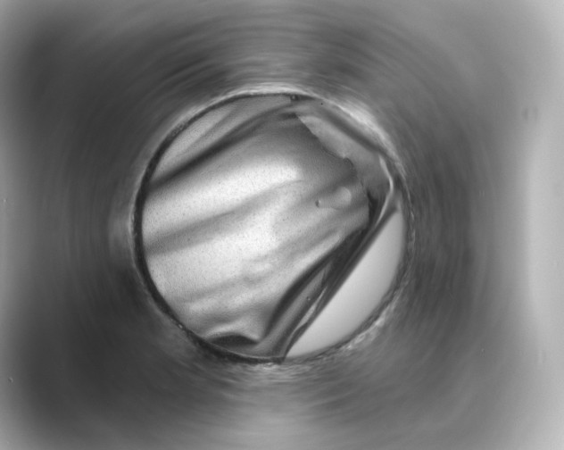 X0000088731181200706212033