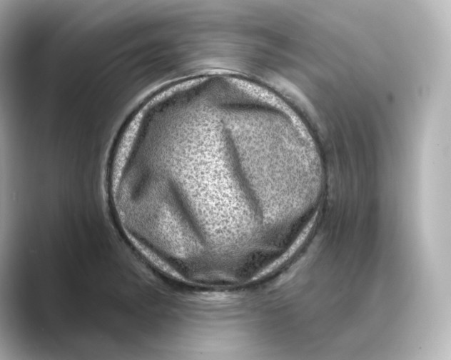 X0000088731182200706212033