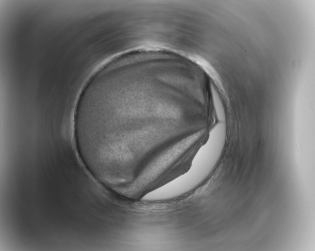 X0000088731183200706212033