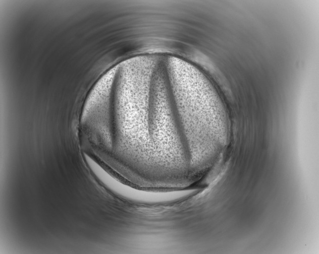 X0000088731185200706212033