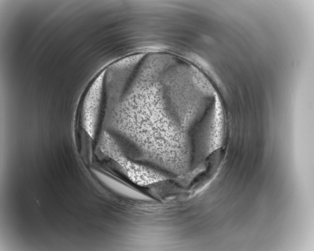 X0000088731186200706212033