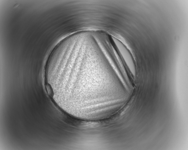 X0000088731187200706212033