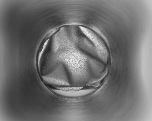 X0000088731189200706212033