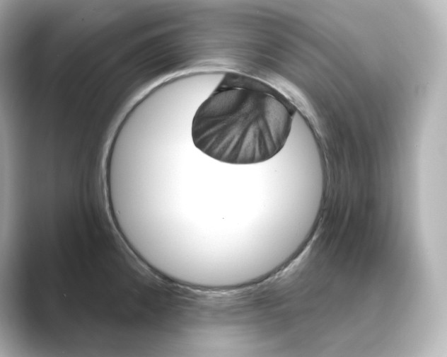 X0000088731192200706212033