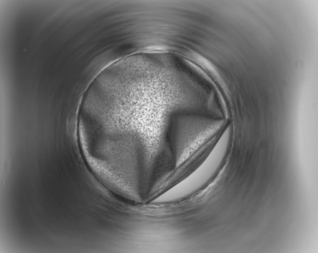 X0000088731194200706212033