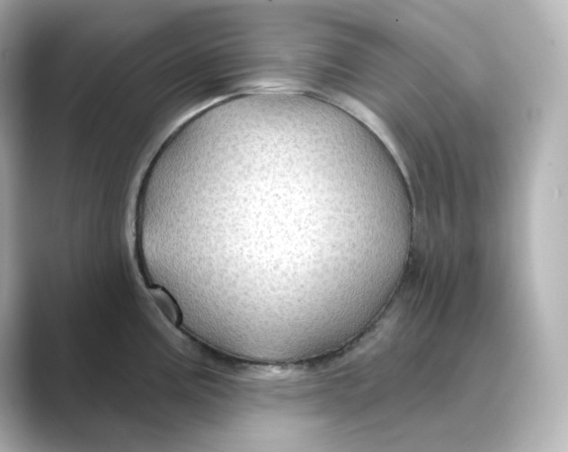 X0000088731195200706212033