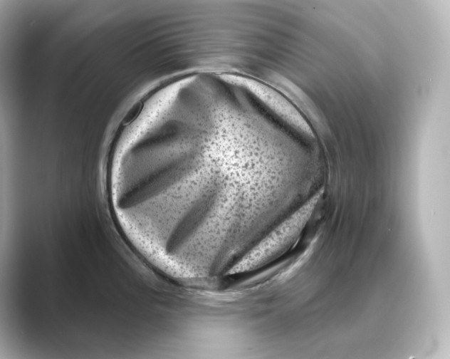 X0000088731196200706212033