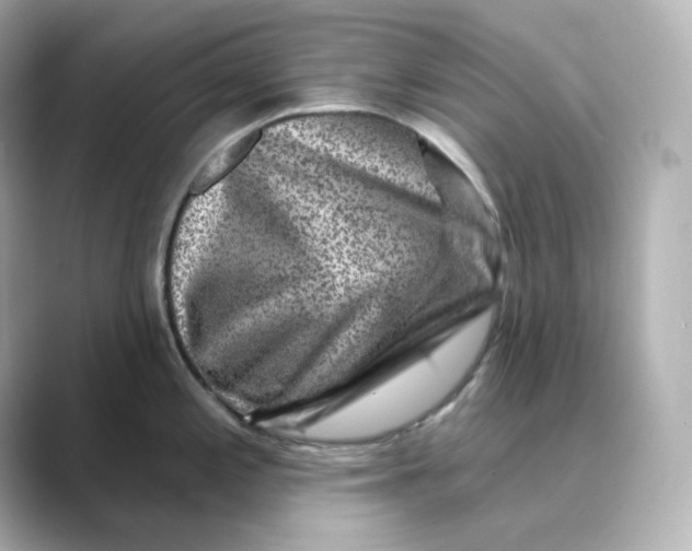 X0000088731197200706212033