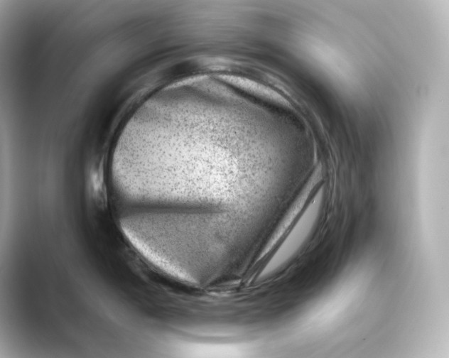 X0000088731198200706212033