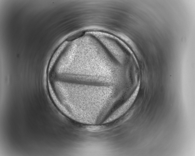 X0000088731199200706212033