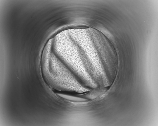 X0000088731200200706212033