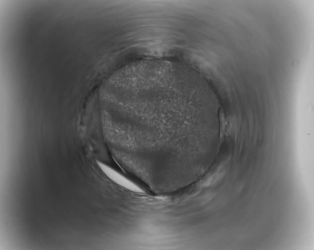 X0000088731202200706212033