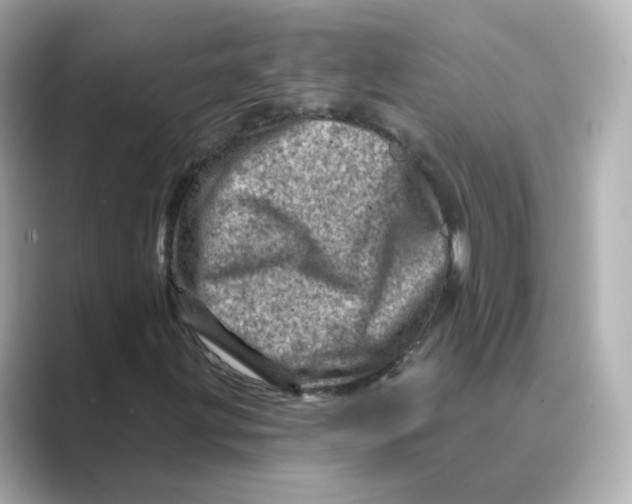 X0000088731203200706212033