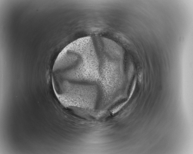 X0000088731204200706212033