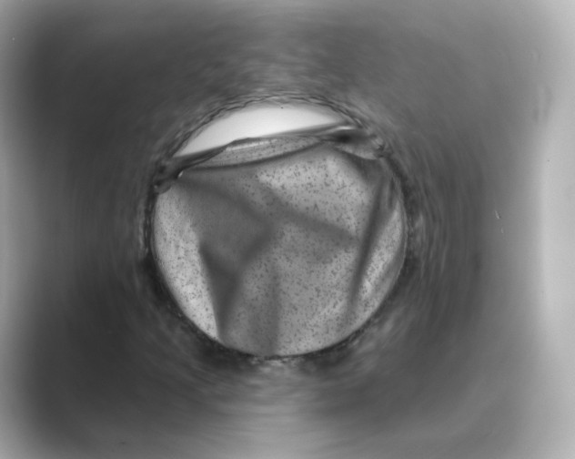 X0000088731205200706212033