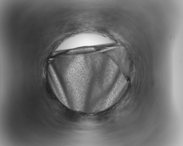 X0000088731206200706212033