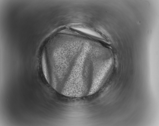 X0000088731208200706212033