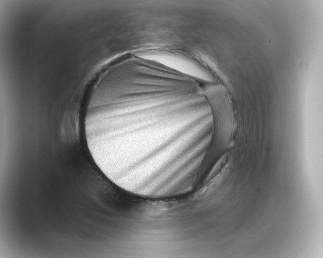 X0000088731214200706212033