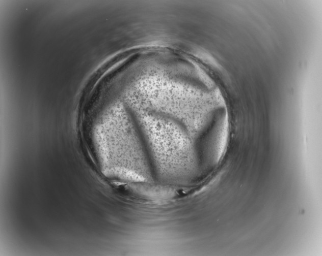 X0000088731216200706212033