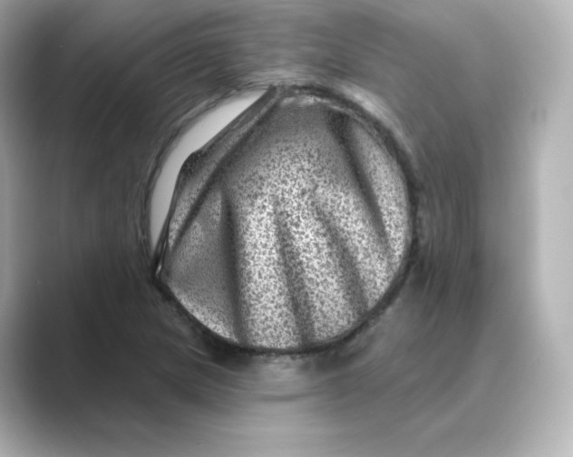 X0000088731217200706212033