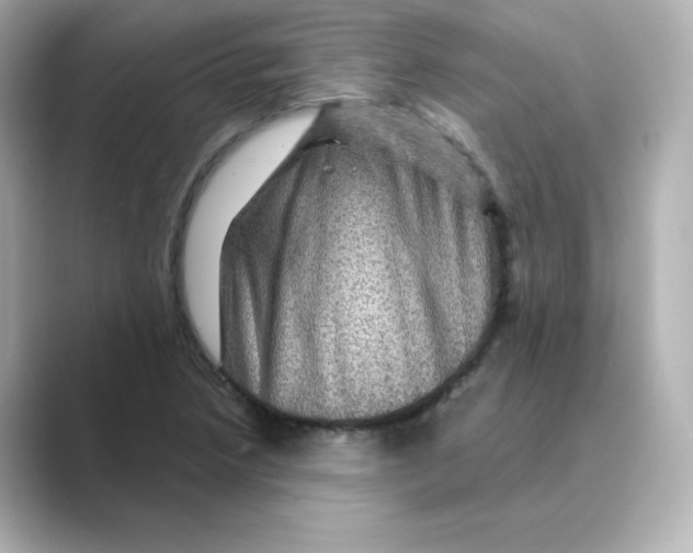 X0000088731218200706212033