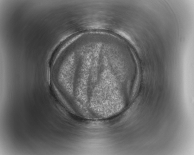 X0000088731219200706212033