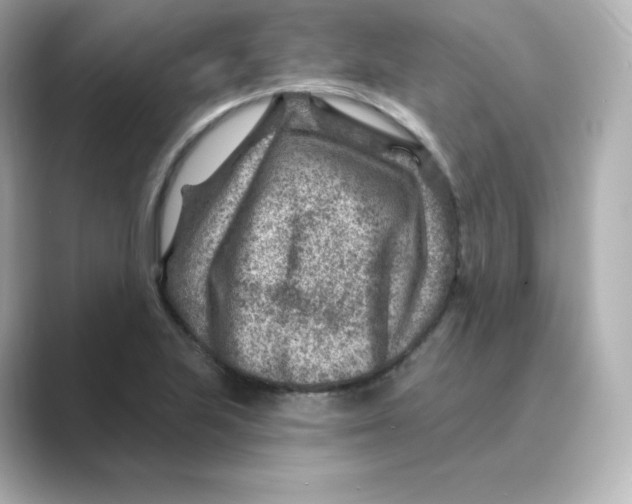 X0000088731223200706212033