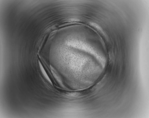 X0000088731225200706212033