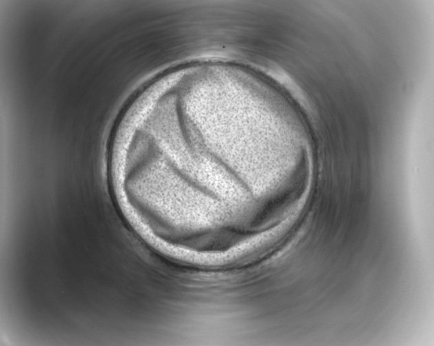 X0000088731232200706212033