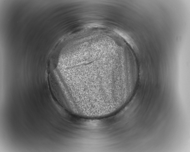 X0000088731233200706212033