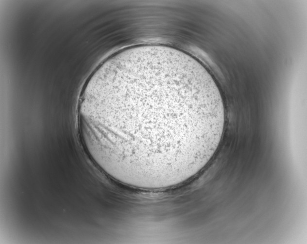 X0000088731236200706212033