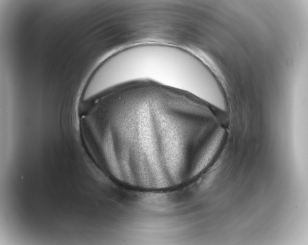 X0000088731238200706212033