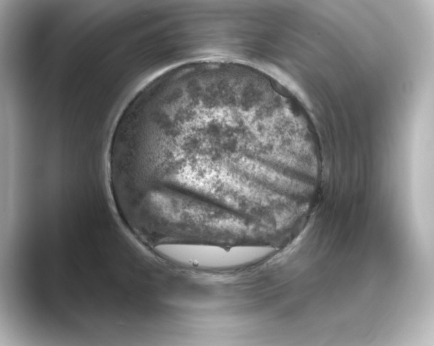 X0000088731239200706212033