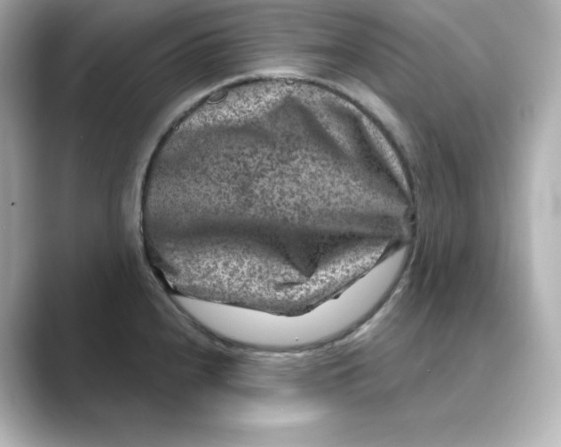 X0000088731240200706212033