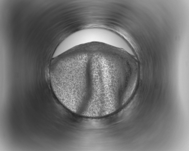 X0000088731241200706212033