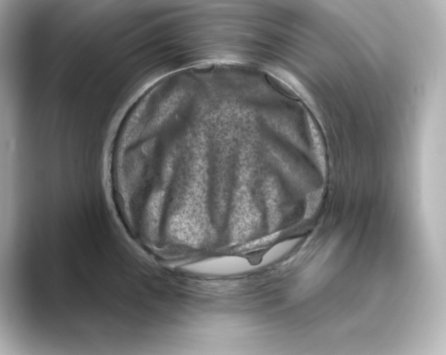 X0000088731243200706212033