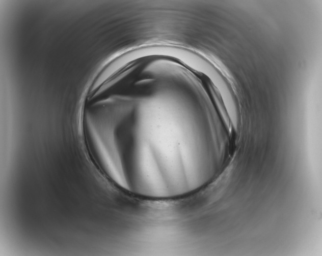 X0000088731246200706212033